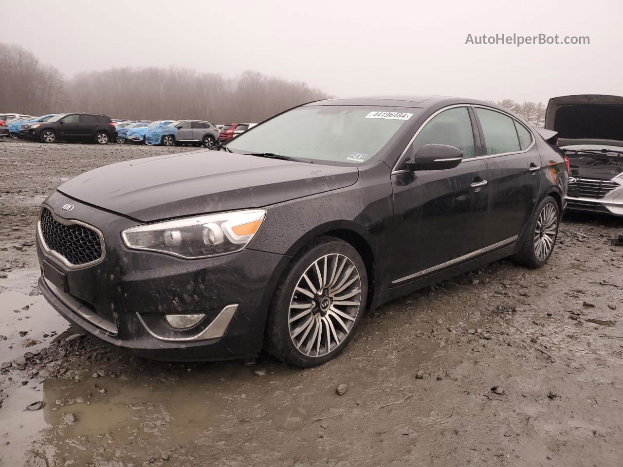 2014 Kia Cadenza Premium Черный vin: KNALN4D7XE5140691