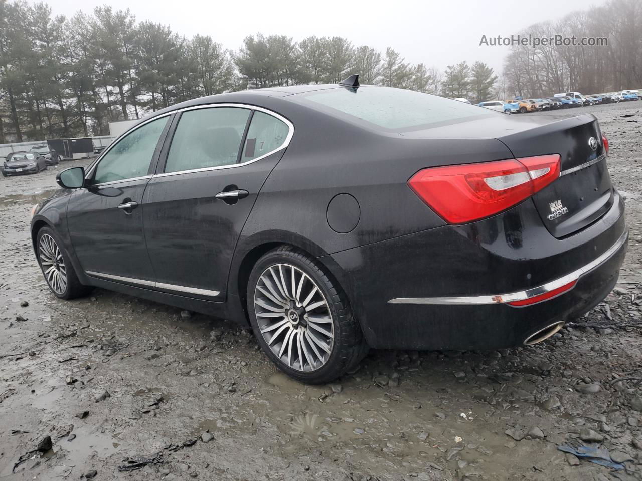 2014 Kia Cadenza Premium Black vin: KNALN4D7XE5140691