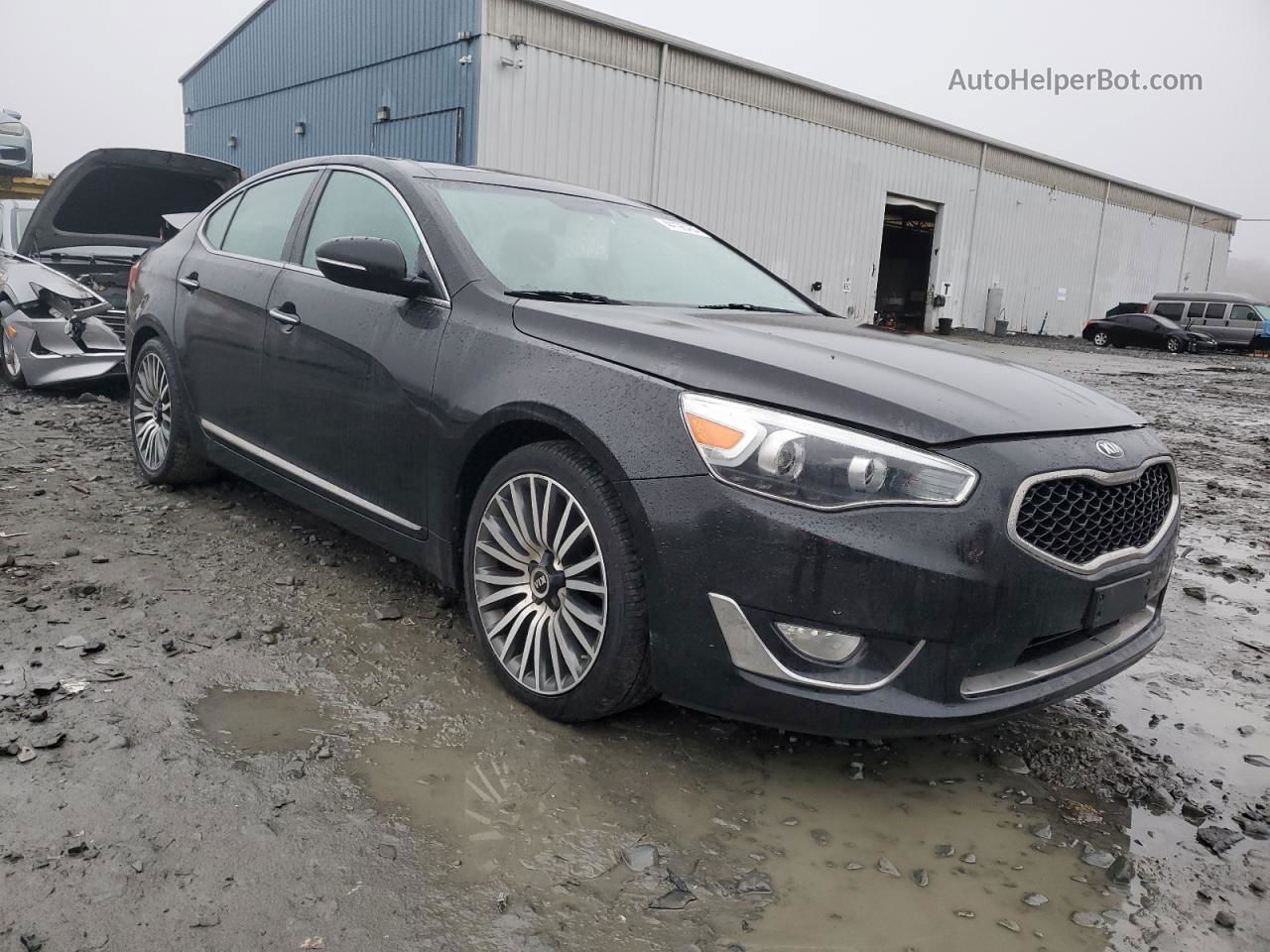 2014 Kia Cadenza Premium Black vin: KNALN4D7XE5140691