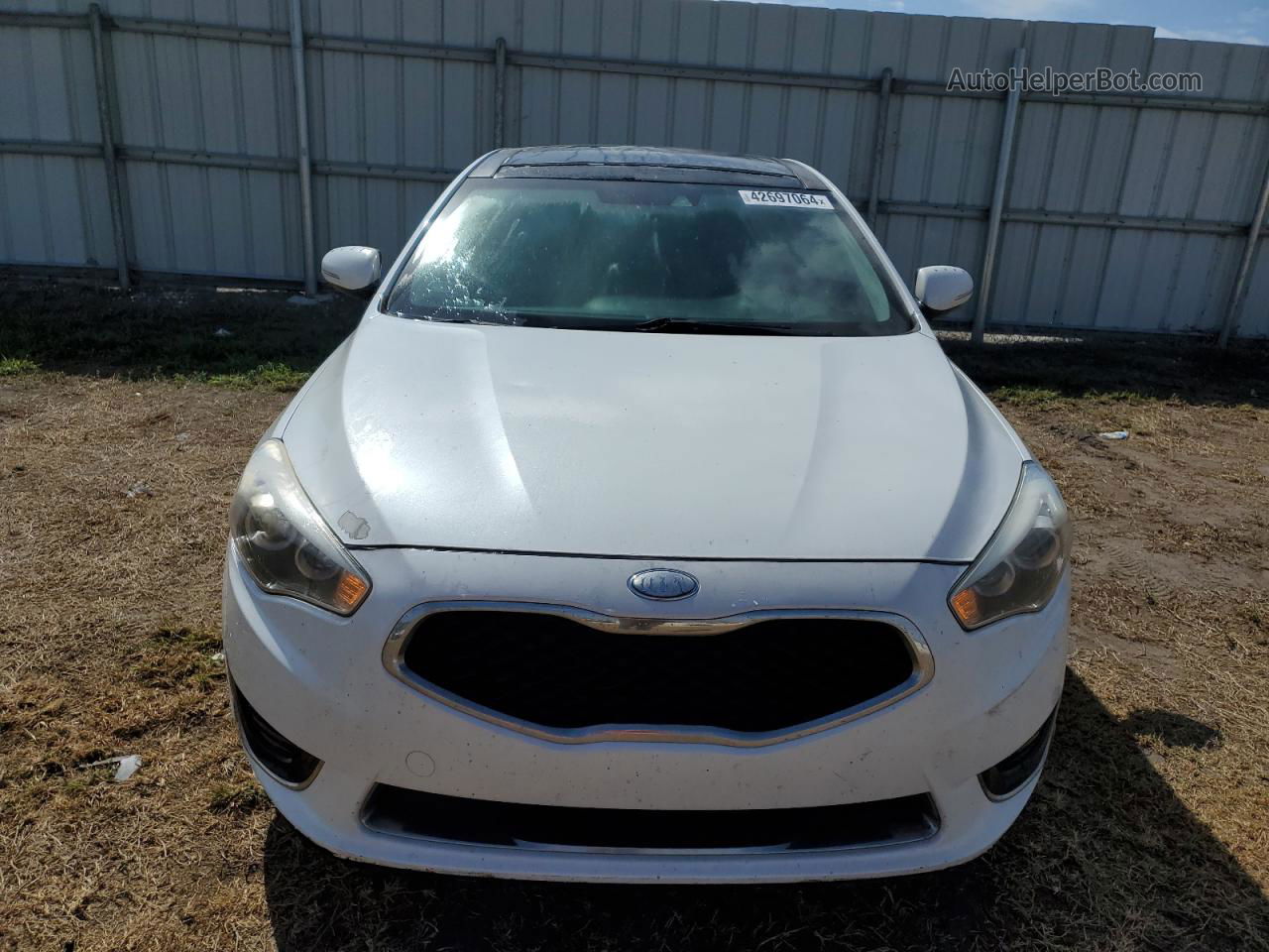 2014 Kia Cadenza Premium White vin: KNALN4D7XE5142795