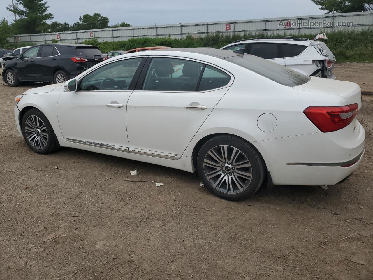 2014 Kia Cadenza Premium White vin: KNALN4D7XE5144482