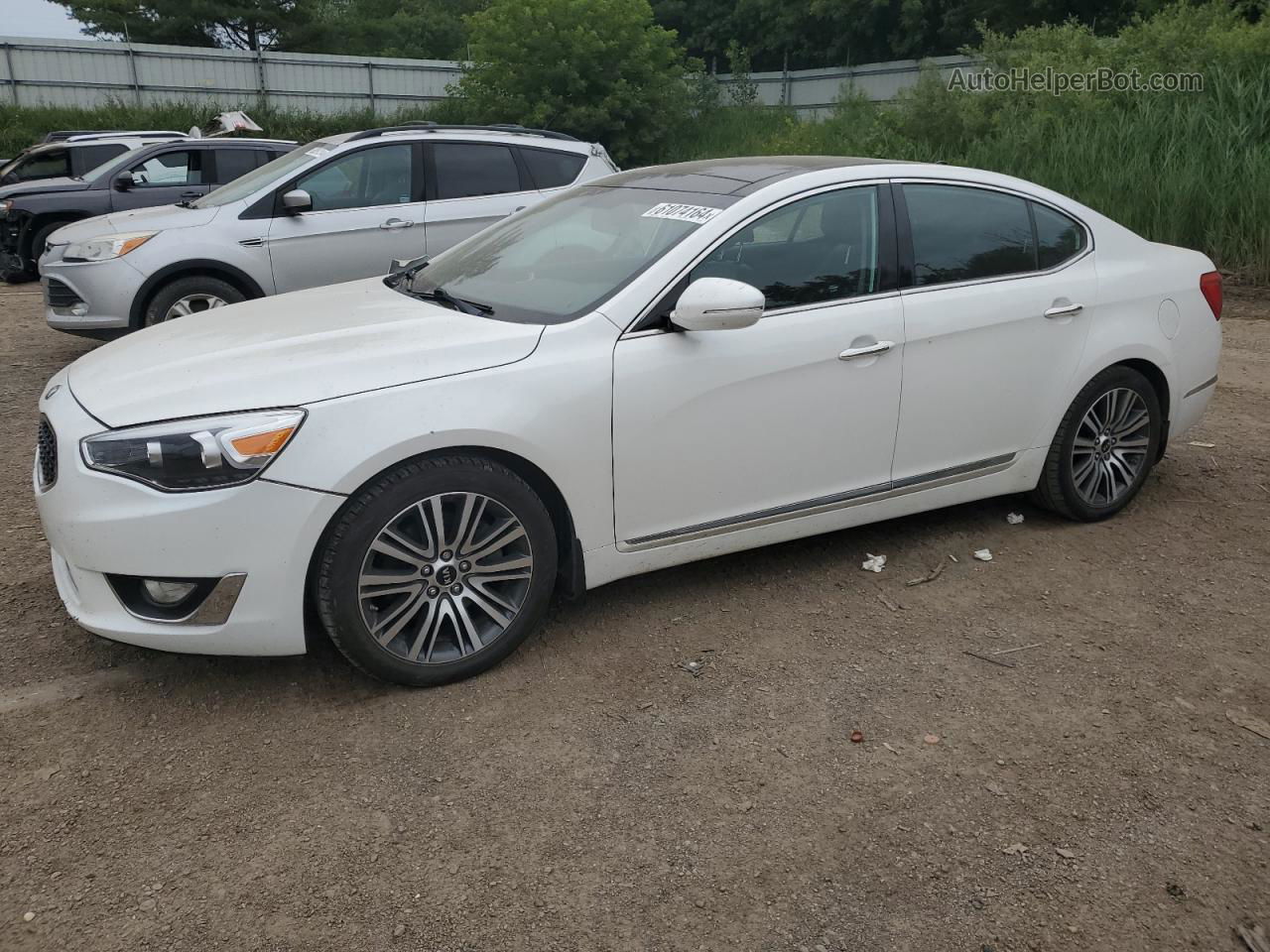 2014 Kia Cadenza Premium White vin: KNALN4D7XE5144482