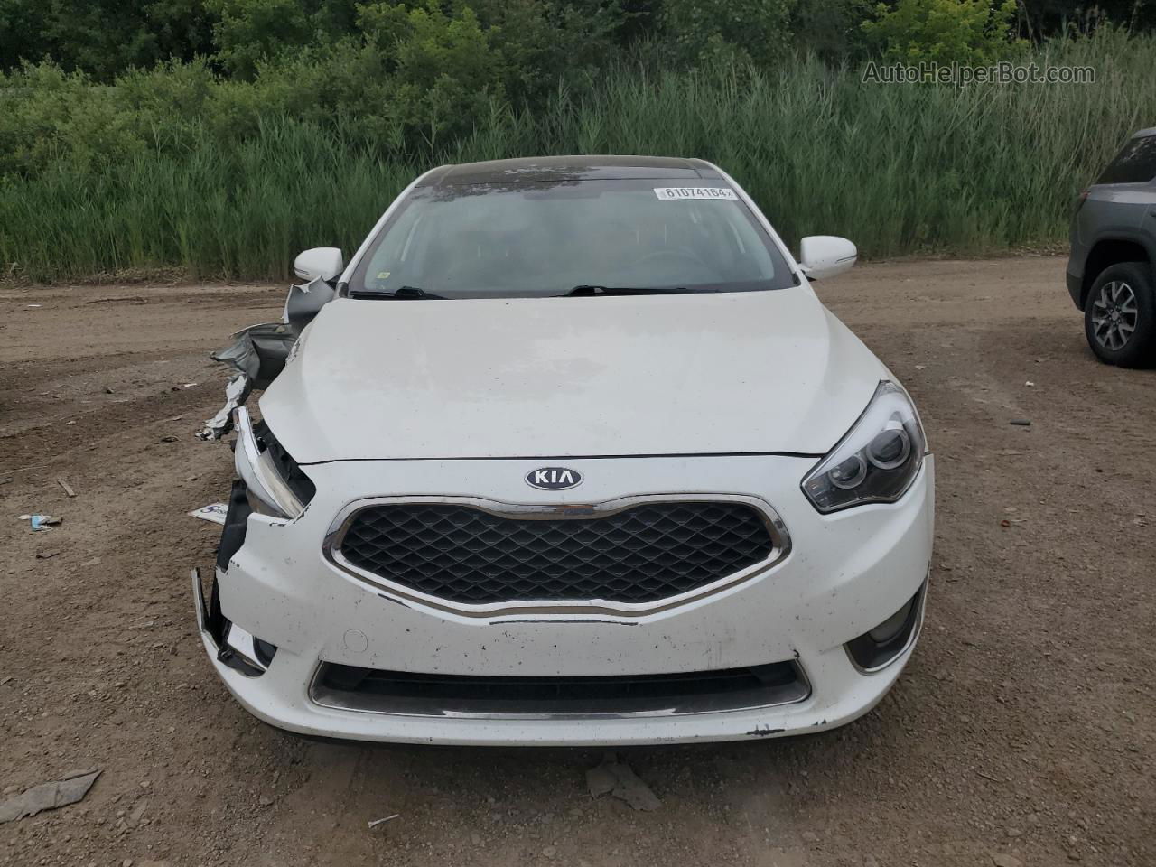 2014 Kia Cadenza Premium Белый vin: KNALN4D7XE5144482