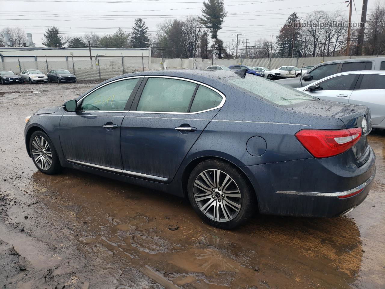 2014 Kia Cadenza Premium Синий vin: KNALN4D7XE5150847