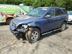 2006 Kia Sorento Ex Blue vin: KNDJC733165553035