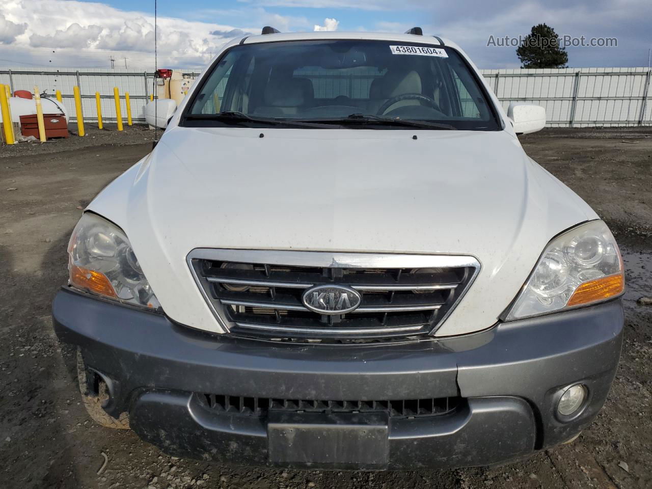 2008 Kia Sorento Ex White vin: KNDJC736X85783167