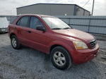 2008 Kia Sorento Ex Красный vin: KNDJD735085816505