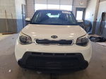 2016 Kia Soul  Белый vin: KNDJN2A21G7288792