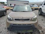 2016 Kia Soul  Brown vin: KNDJN2A21G7301766