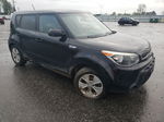 2016 Kia Soul  Black vin: KNDJN2A21G7841523