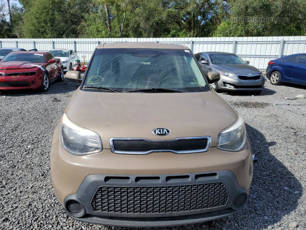 2016 Kia Soul  Бежевый vin: KNDJN2A22G7250925