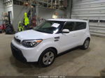 2016 Kia Soul Белый vin: KNDJN2A23G7836601