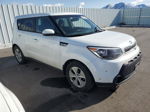 2016 Kia Soul  White vin: KNDJN2A23G7837196