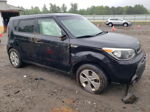 2016 Kia Soul  Black vin: KNDJN2A24G7243099