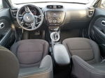 2019 Kia Soul  Black vin: KNDJN2A24K7021512