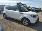 2016 Kia Soul  Белый vin: KNDJN2A28G7328981