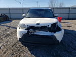 2016 Kia Soul  Белый vin: KNDJN2A28G7376156