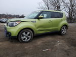 2019 Kia Soul  Green vin: KNDJN2A28K7912516