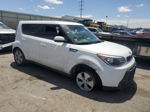 2016 Kia Soul  Белый vin: KNDJN2A2XG7866694