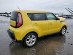 2016 Kia Soul + Золотой vin: KNDJP3A52G7286477