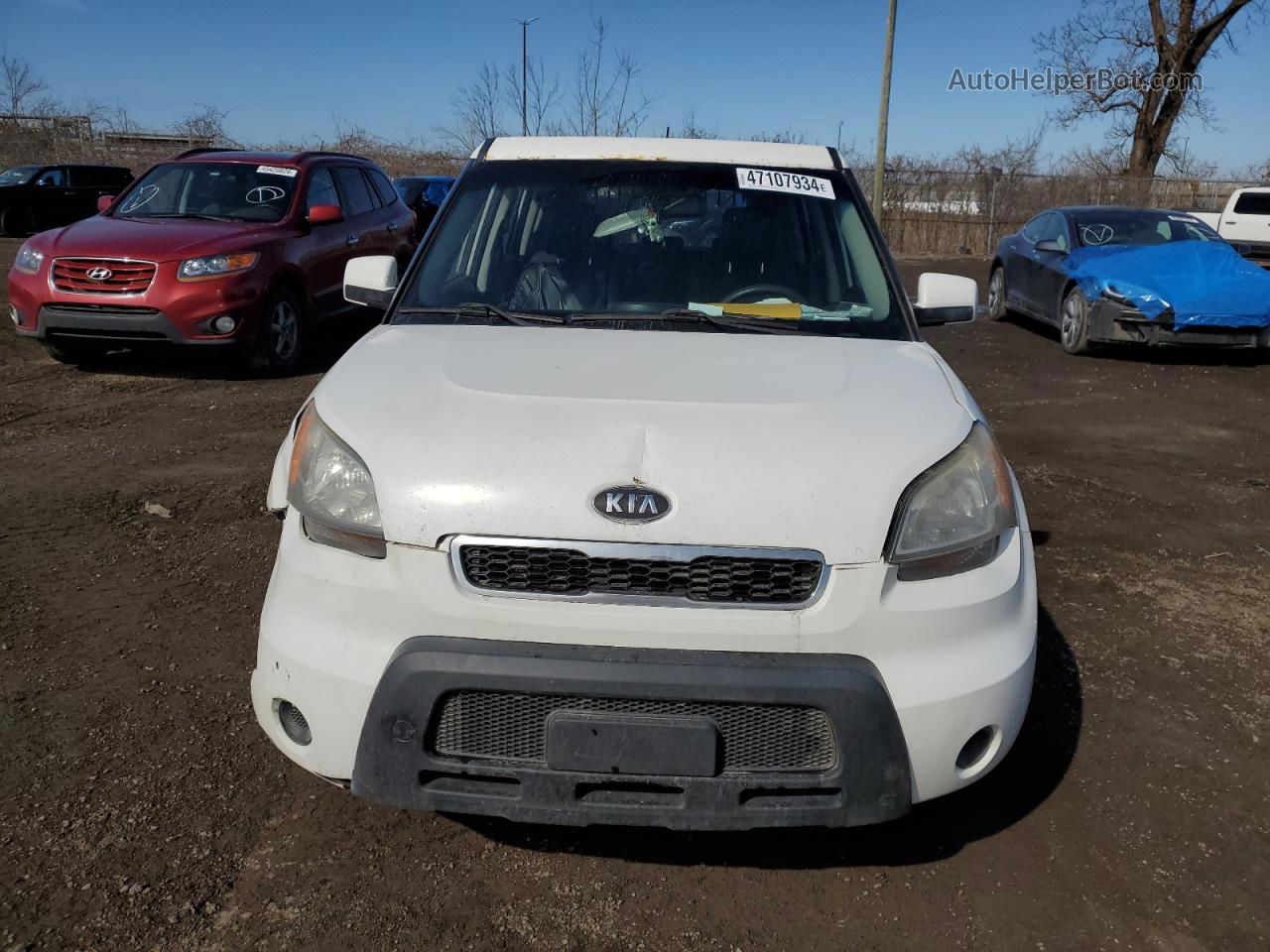 2010 Kia Soul  Белый vin: KNDJT2A10A7121151