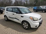 2010 Kia Soul  White vin: KNDJT2A11A7030325