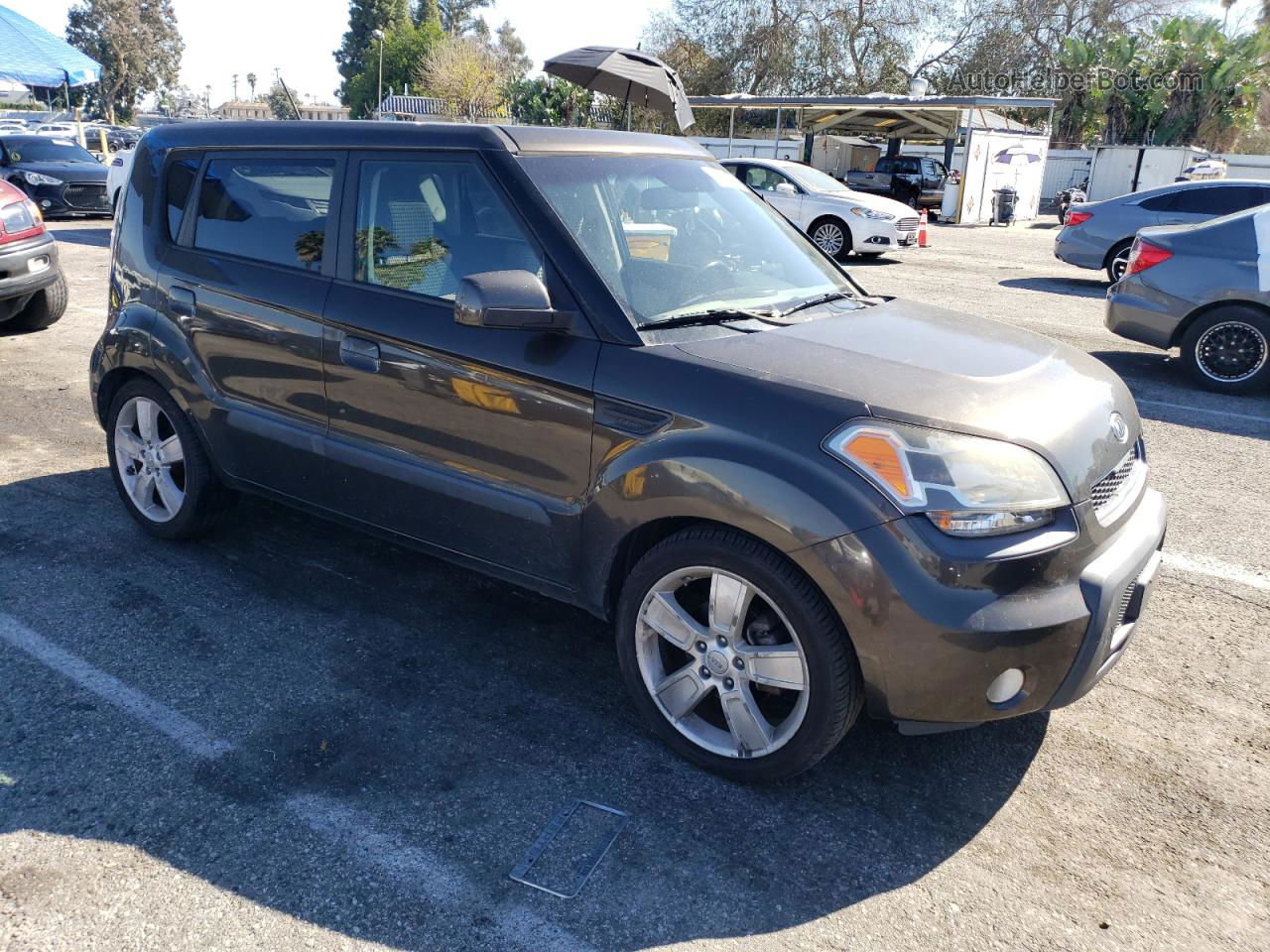 2010 Kia Soul + Brown vin: KNDJT2A21A7177074