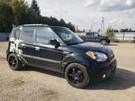 2010 Kia Soul + Black vin: KNDJT2A23A7125610