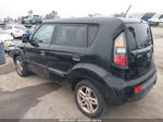 2010 Kia Soul + Black vin: KNDJT2A23A7181238