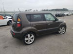 2010 Kia Soul + Brown vin: KNDJT2A25A7050800