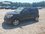 2010 Kia Soul + Черный vin: KNDJT2A25A7147592