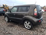 2010 Kia Soul + Желто-коричневый vin: KNDJT2A25A7176087