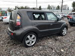 2010 Kia Soul + Желто-коричневый vin: KNDJT2A25A7176087