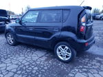 2010 Kia Soul + Black vin: KNDJT2A25A7180740