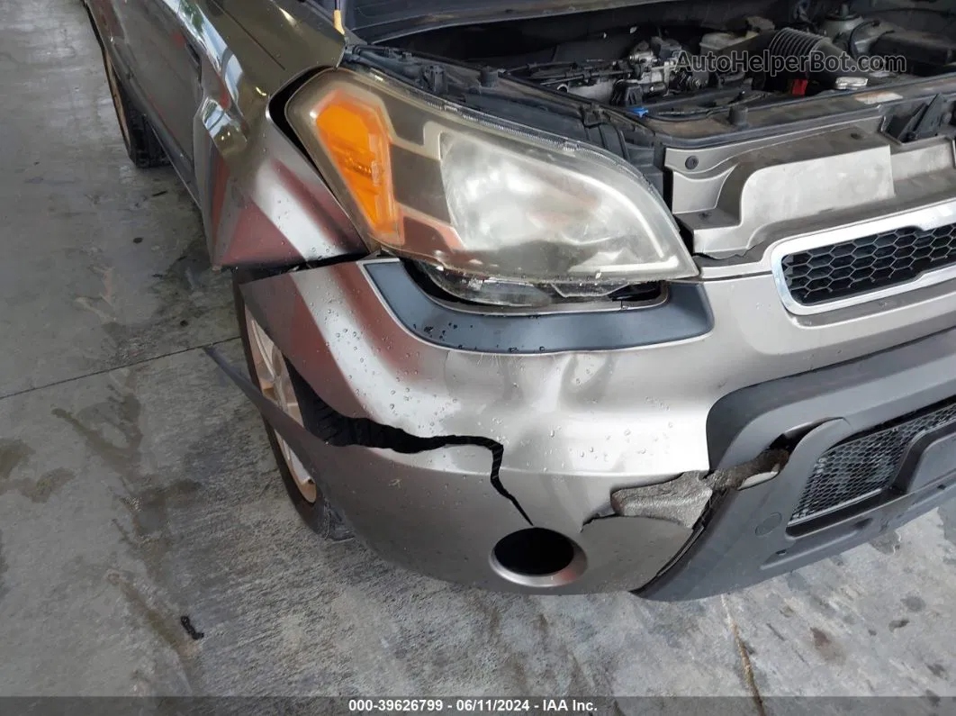 2010 Kia Soul + Золотой vin: KNDJT2A26A7190404