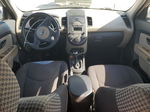 2010 Kia Soul + Кремовый vin: KNDJT2A27A7038132