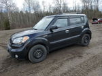 2010 Kia Soul + Black vin: KNDJT2A27A7186698