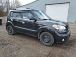 2010 Kia Soul + Black vin: KNDJT2A27A7186698