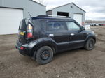 2010 Kia Soul + Black vin: KNDJT2A27A7186698