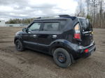 2010 Kia Soul + Black vin: KNDJT2A27A7186698