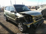 2010 Kia Soul + Золотой vin: KNDJT2A28A7077019