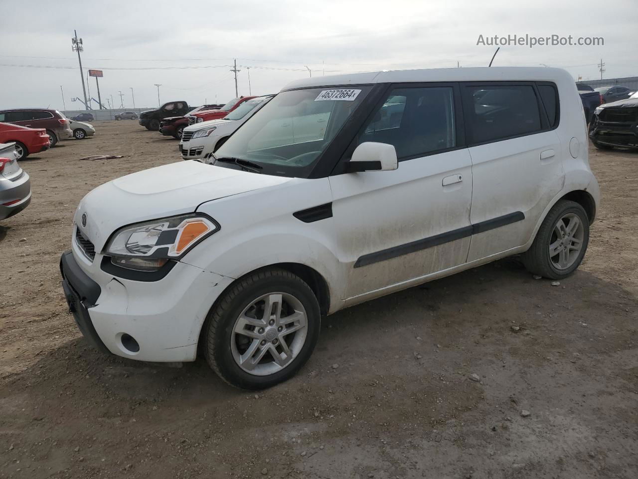 2010 Kia Soul + Белый vin: KNDJT2A28A7703779