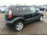 2010 Kia Soul + Black vin: KNDJT2A29A7181194