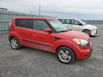 2010 Kia Soul + Red vin: KNDJT2A2XA7162699