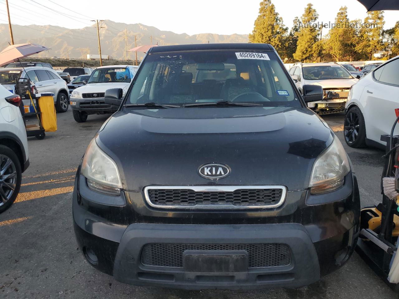 2010 Kia Soul + Black vin: KNDJT2A2XA7180054