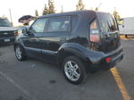 2010 Kia Soul + Black vin: KNDJT2A2XA7180054