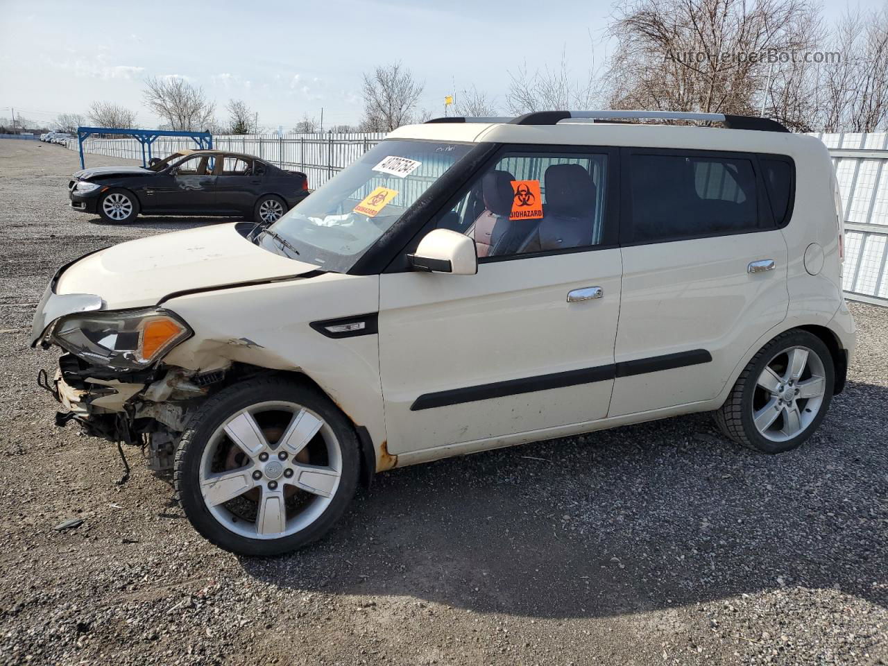 2010 Kia Soul + Кремовый vin: KNDJT2A2XA7186551