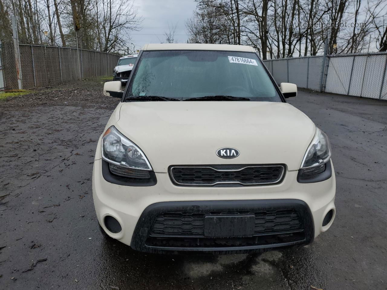 2013 Kia Soul  Кремовый vin: KNDJT2A51D7773929