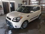 2013 Kia Soul  White vin: KNDJT2A54D7759121