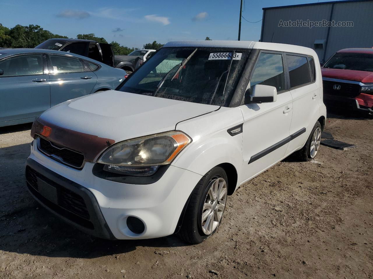 2013 Kia Soul  White vin: KNDJT2A55D7767115